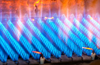 Llanfairyneubwll gas fired boilers